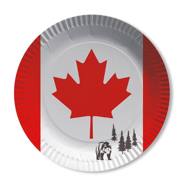 fanion mini drapeau pays voiture decoration canada canadien